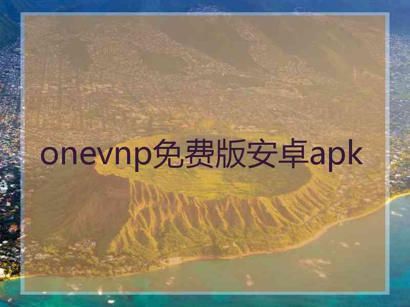 onevnp免费版安卓apk