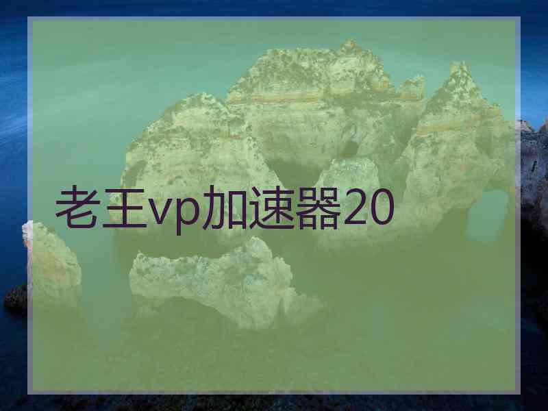 老王vp加速器20