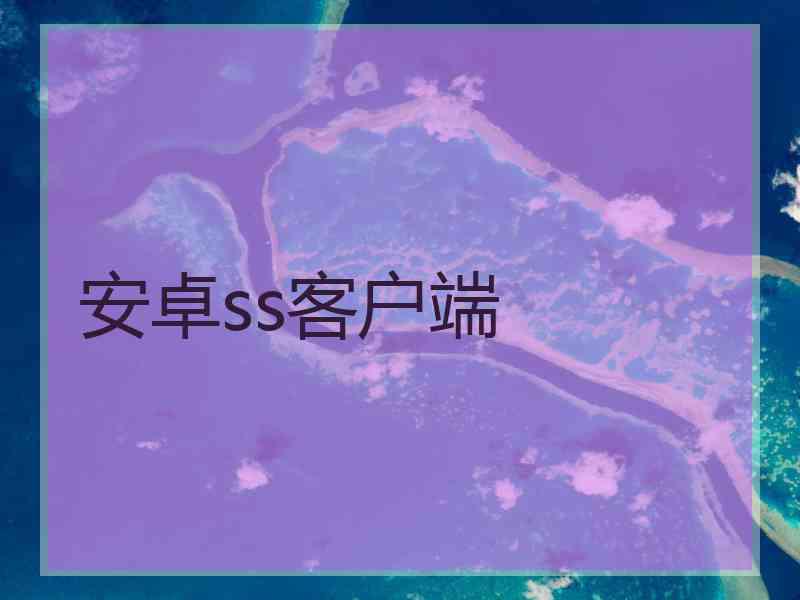 安卓ss客户端