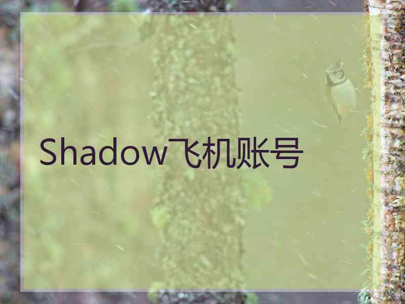 Shadow飞机账号