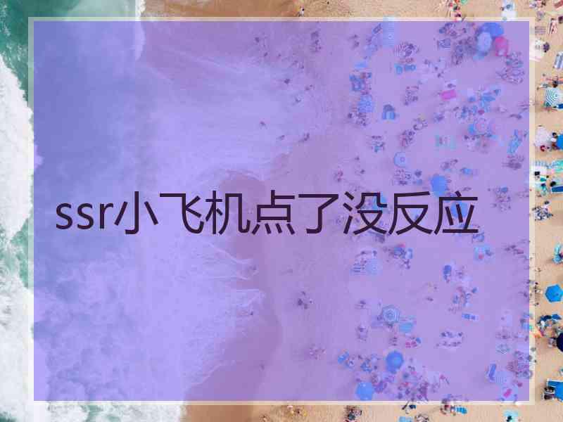 ssr小飞机点了没反应