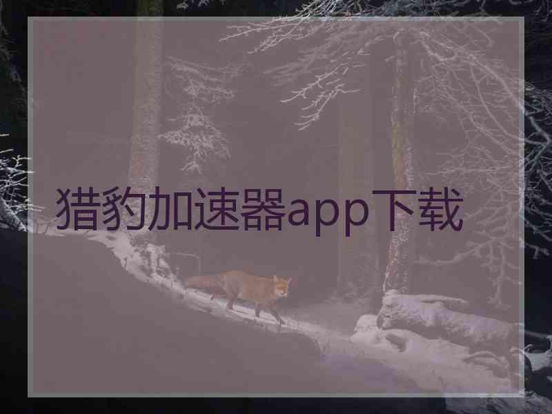 猎豹加速器app下载