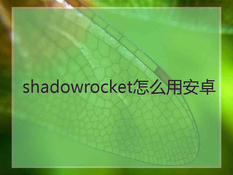 shadowrocket怎么用安卓