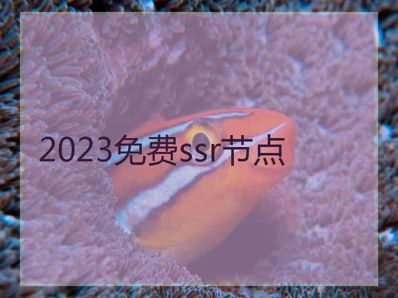 2023免费ssr节点