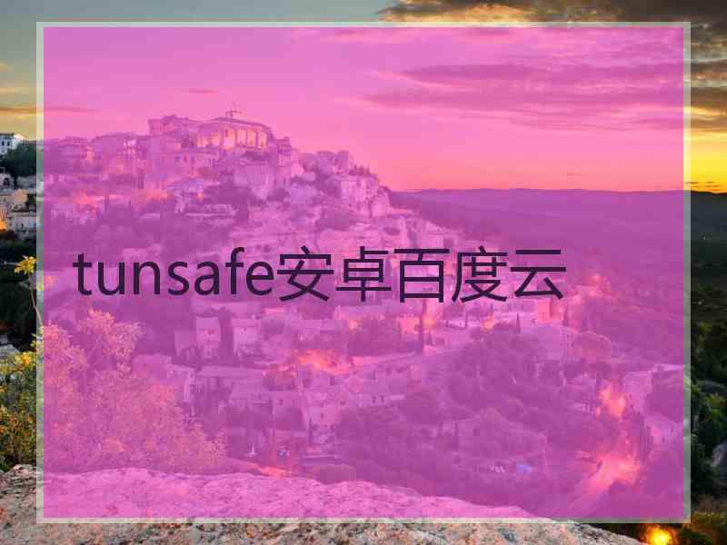 tunsafe安卓百度云