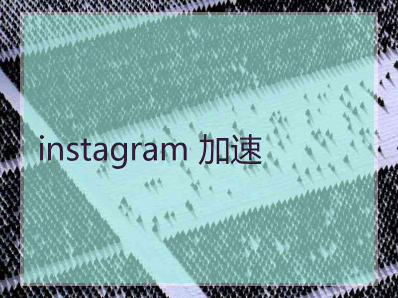 instagram 加速