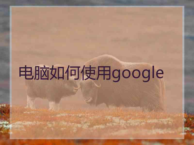 电脑如何使用google