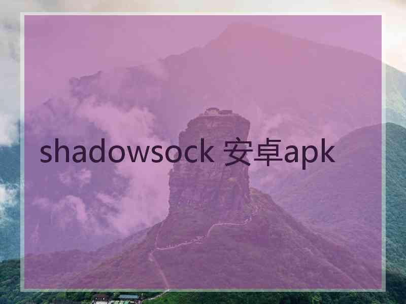 shadowsock 安卓apk