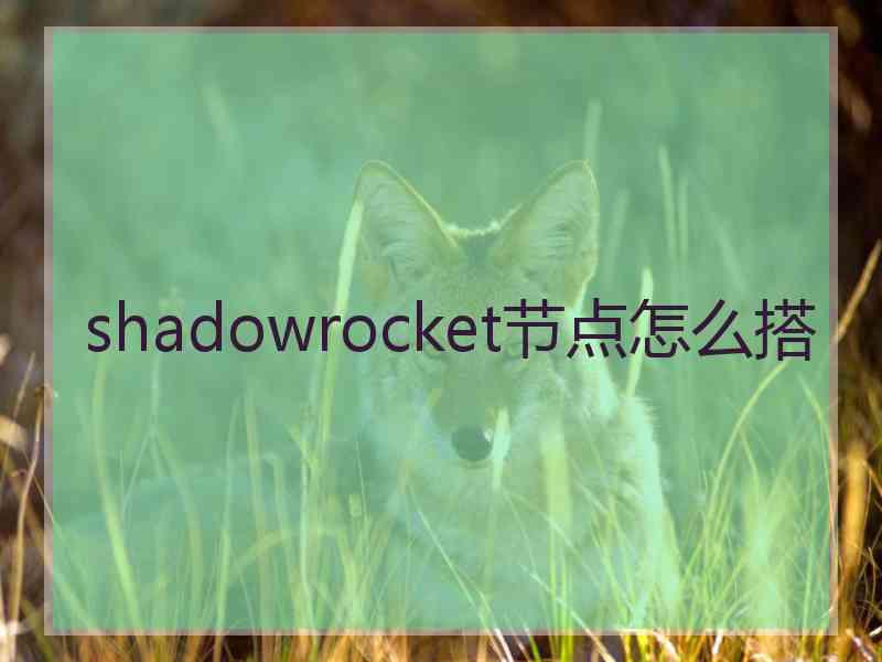 shadowrocket节点怎么搭